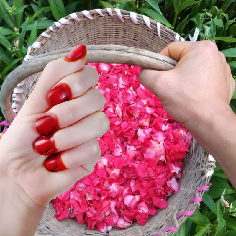 40g henna tintura de unhas em  - Nail Art Natural avaliação e preço